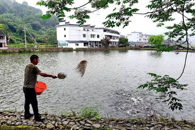 来党中央引领脱贫攻坚纪实pg模拟器试玩十八大以(图2)