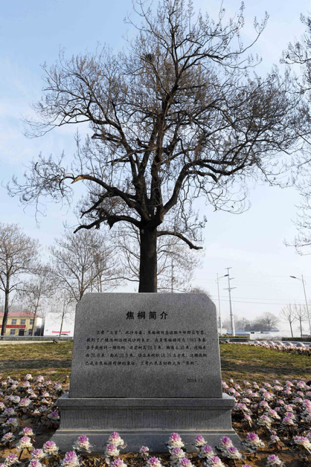 来党中央引领脱贫攻坚纪实pg模拟器试玩十八大以(图4)