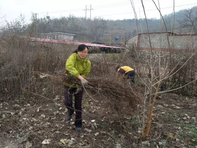 来党中央引领脱贫攻坚纪实pg模拟器试玩十八大以(图12)