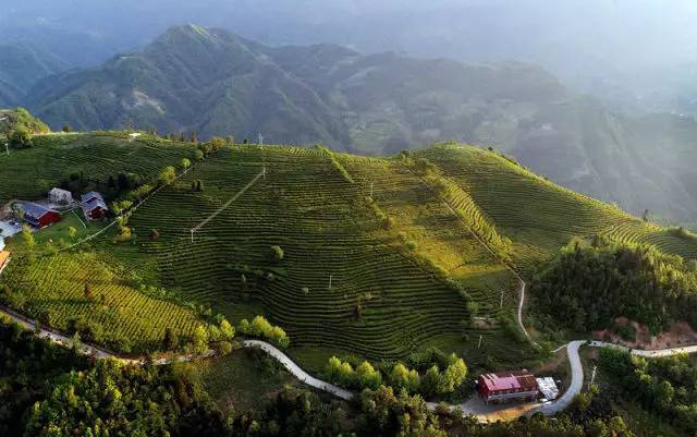 来党中央引领脱贫攻坚纪实pg模拟器试玩十八大以(图13)